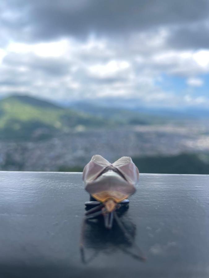 Hotel Pokharaeye Εξωτερικό φωτογραφία
